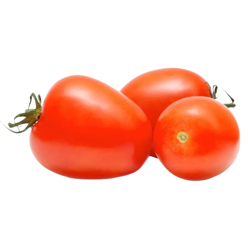 Tomate